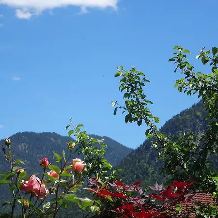 Apartment Alpin-Check-In *