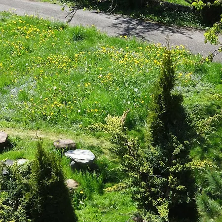 Alpin-Check-In Apartment Reutte
