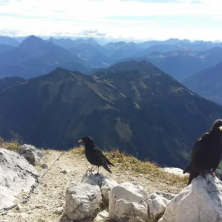 Appartamento Alpin-check-in Reuthe