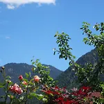 Apartamento Alpin-check-in *