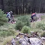 Alpin-check-in