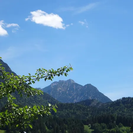 Апартаменты Alpin-Check-In