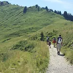 Alpin-check-in *