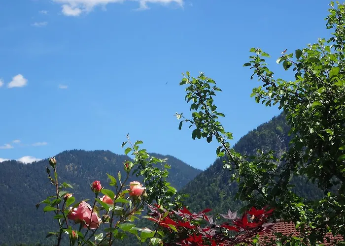 Apartmán Alpin-check-in *