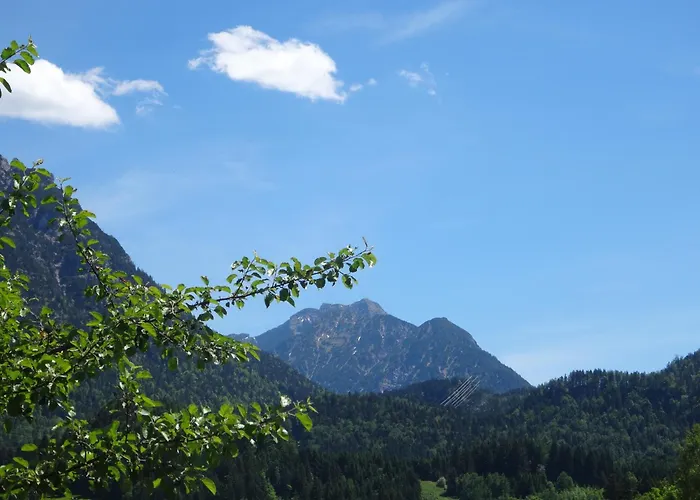 Apartmán Alpin-check-in