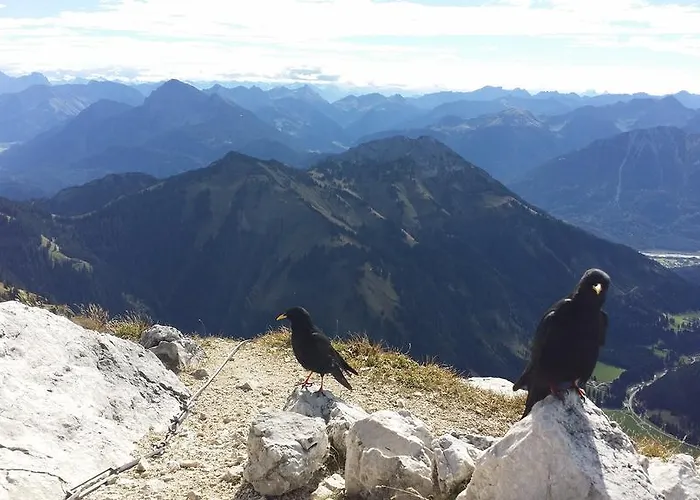 Apartmán Alpin-check-in Reutte